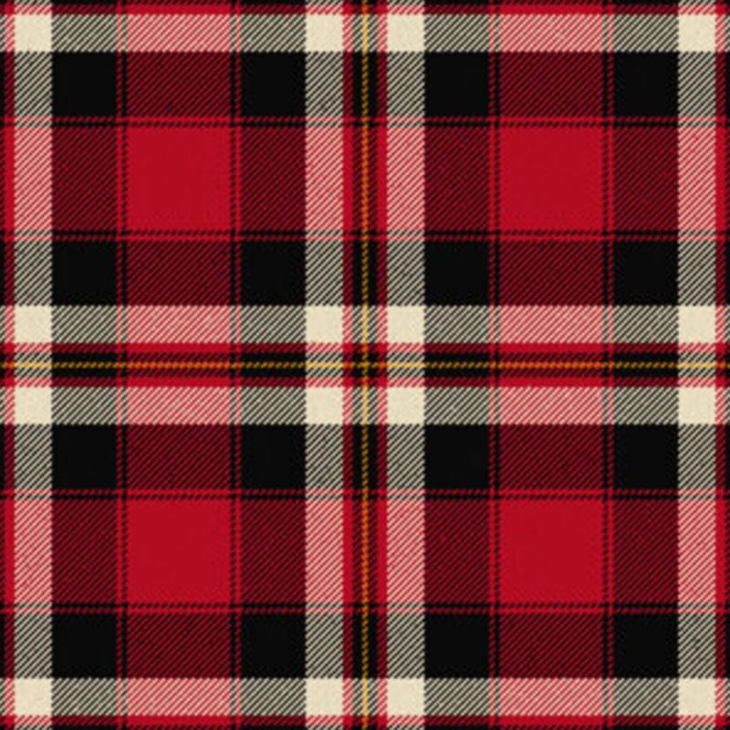 Barbecue Plaid Tartan Kilt