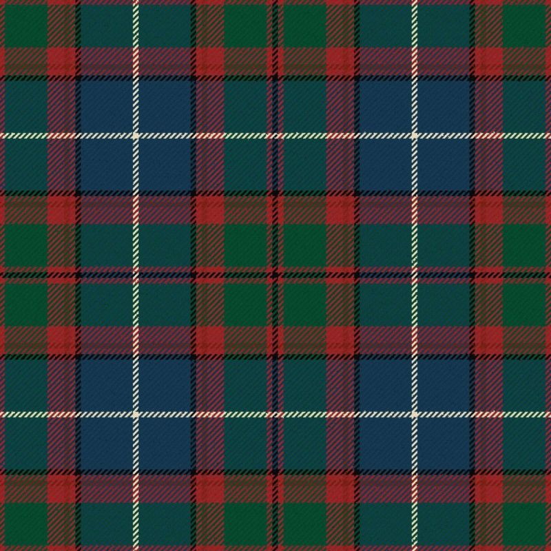 Dunedin Florida Modern Tartan