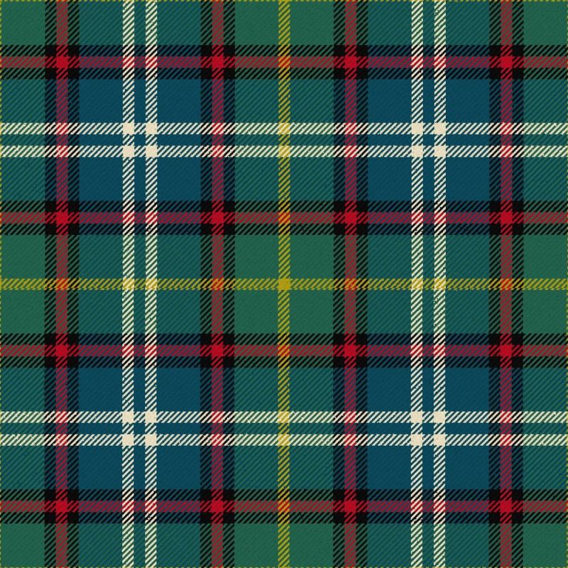 Dunedin New Zealand Tartan Kilt