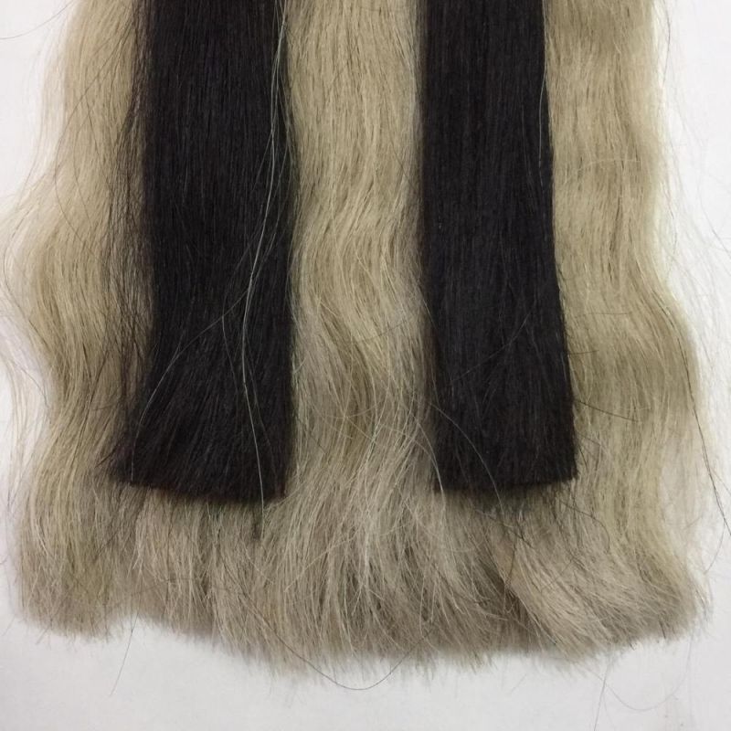 Horse Hair Sporran with Thistle Badge Sporran