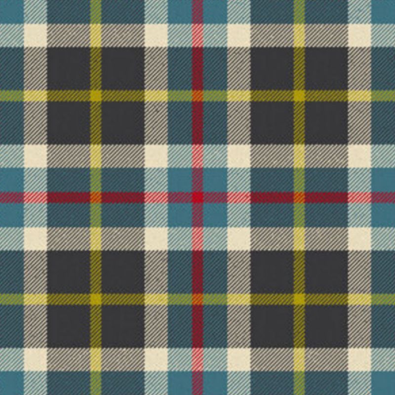 Inspiration Tartan Kilt