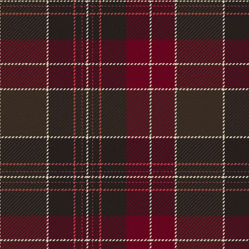 St David's Brithwe Dewi Sant Moderntartan Kilt St David's Brithwe Dewi Sant Moderntartan Kilt