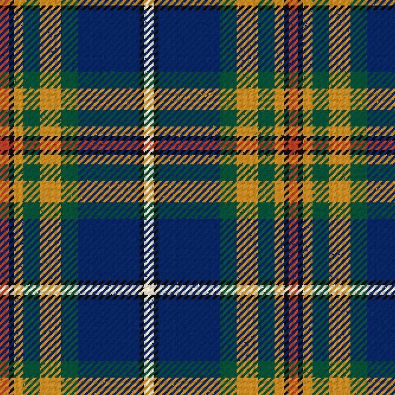Women's Institute Federated Modern Tartan Kilt