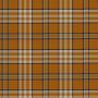 Tennessee Volunteer Tartan Kilt thumbnail