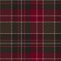 St David's Brithwe Dewi Sant Moderntartan Kilt thumbnail